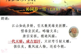统编版七下第10课《蒙古族的兴起与元朝的建立》ppt课件下载